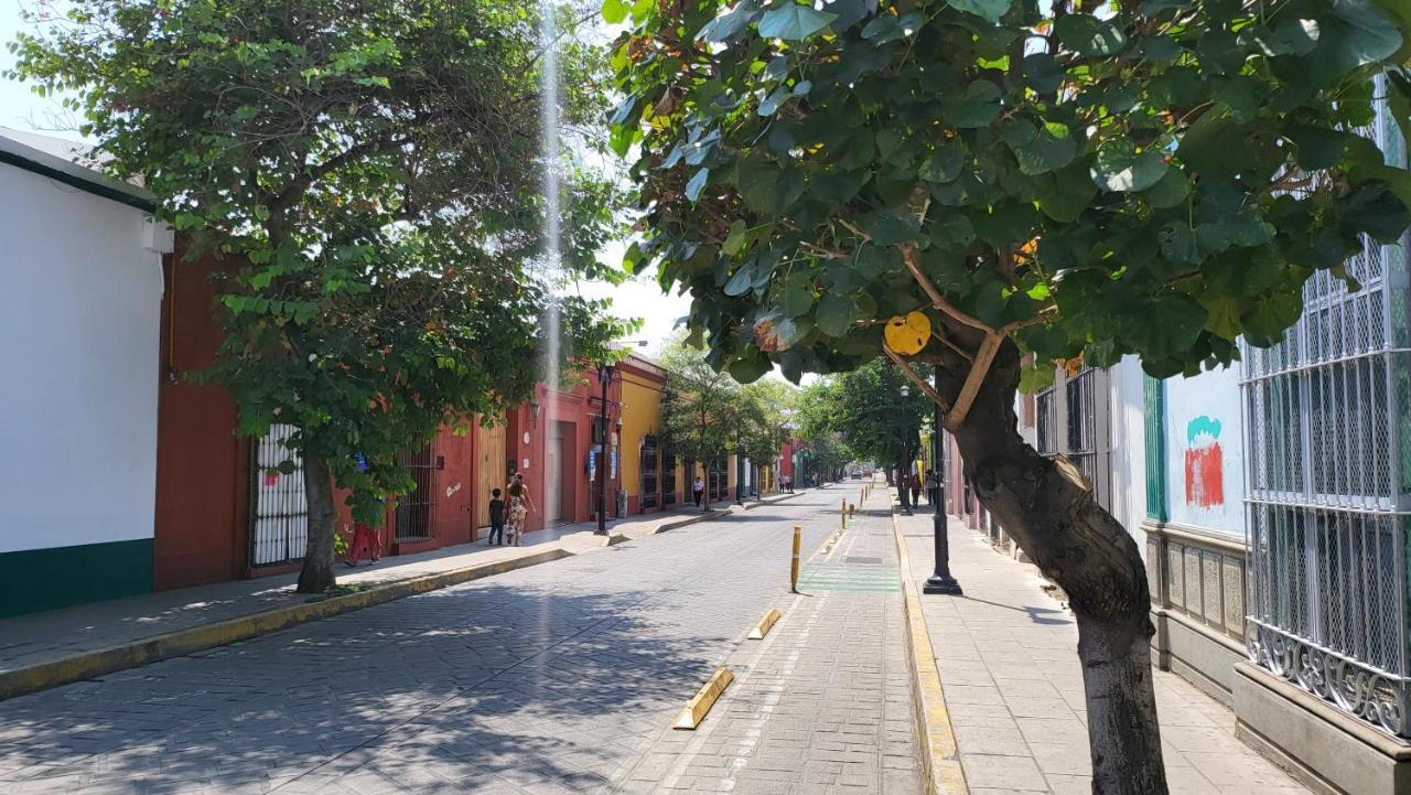 Oaxaca Departments Independencia公寓 外观 照片